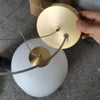 Globo Pendant - Stephanie Ng Design