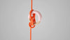 Cord Loop - Stephanie Ng Design