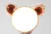 Bear Perch - Stephanie Ng Design