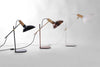 Scoop Desk Lamp - Stephanie Ng Design