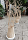 Rattan - Stephanie Ng Design