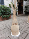 Reed - Stephanie Ng Design