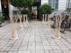 Reed - Stephanie Ng Design